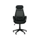 Bürostuhl / Chefsessel / Ergonomischer Briz black (E0444)