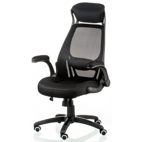Bürostuhl / Chefsessel / Ergonomischer Briz 2 black (E4961)
